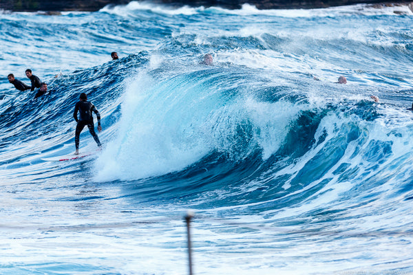 NOV swell