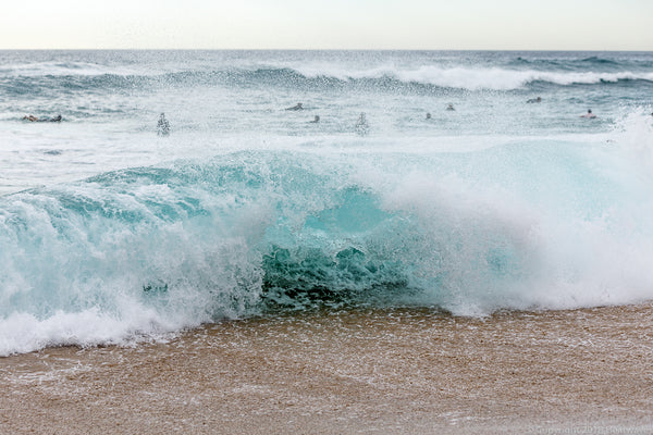 New Bondi