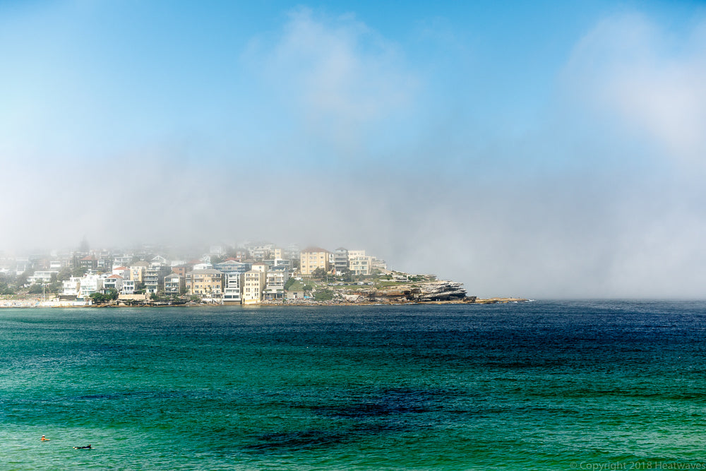 FOGtacular
