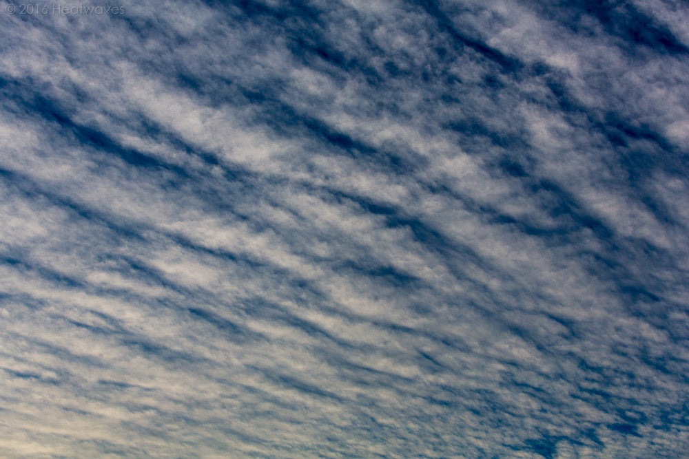 Cool Clouds