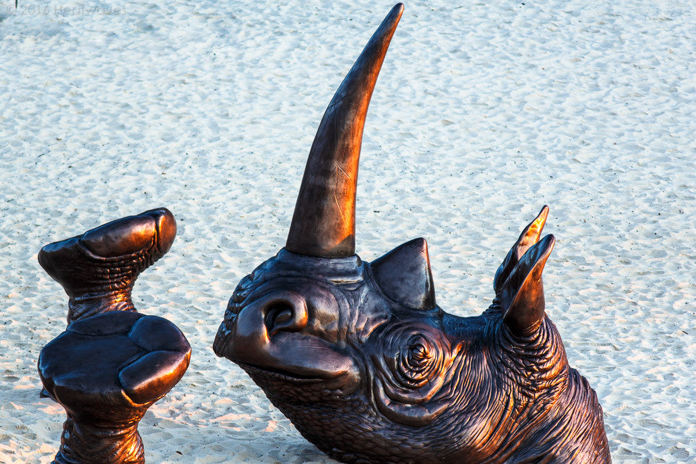 Rhino