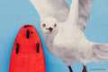 Big bird's board