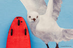 Big bird's board