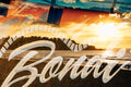 Bondi Bondi Bondi