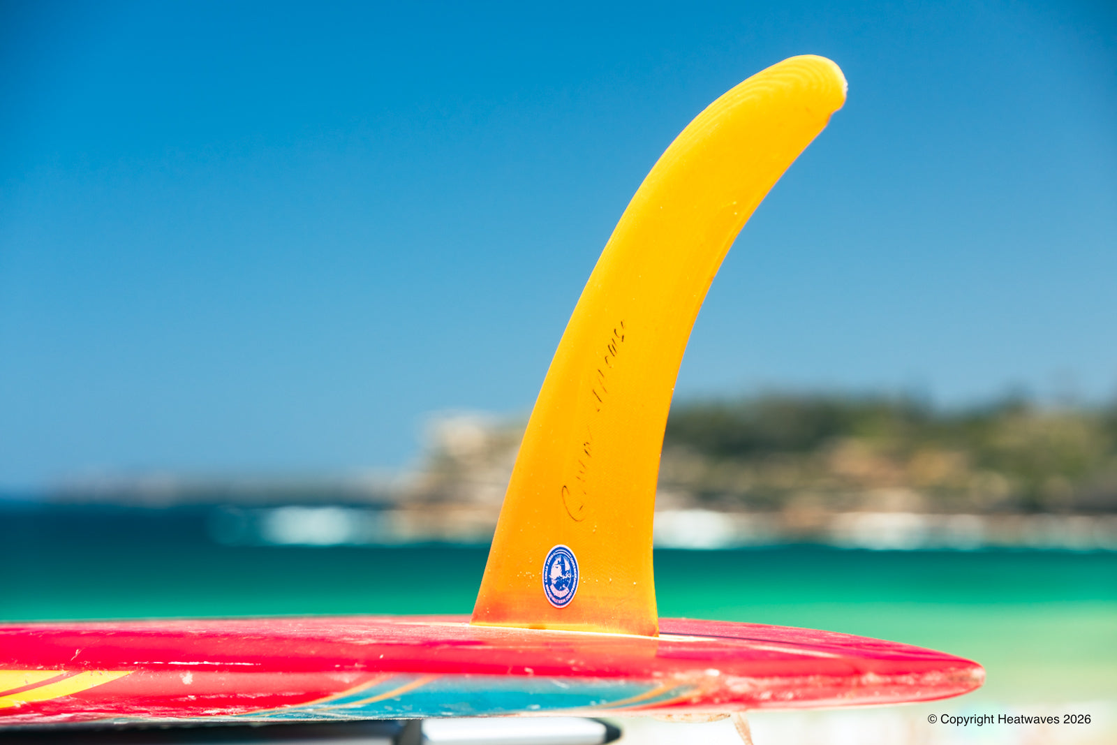Nice Fin