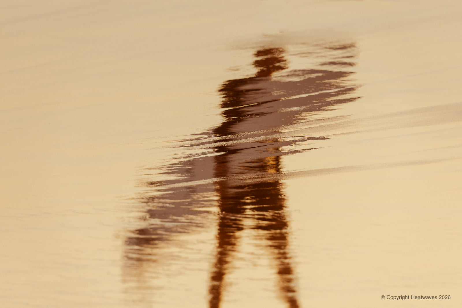 Shoreline Shift