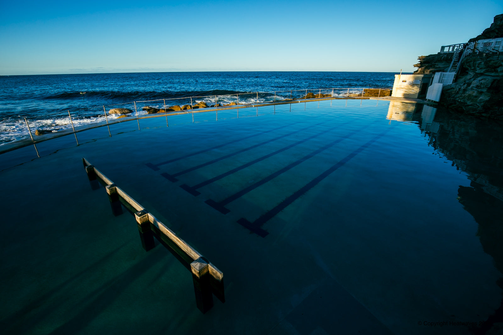 Winter Dips