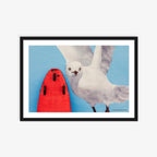 Big bird's board