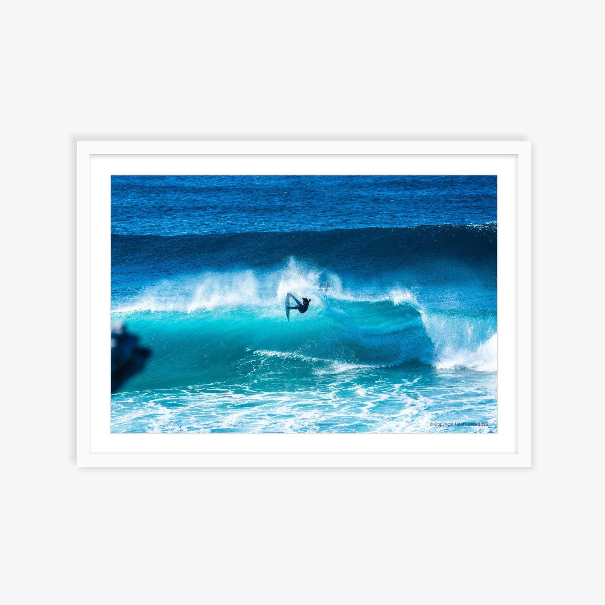 Fins Out Fun