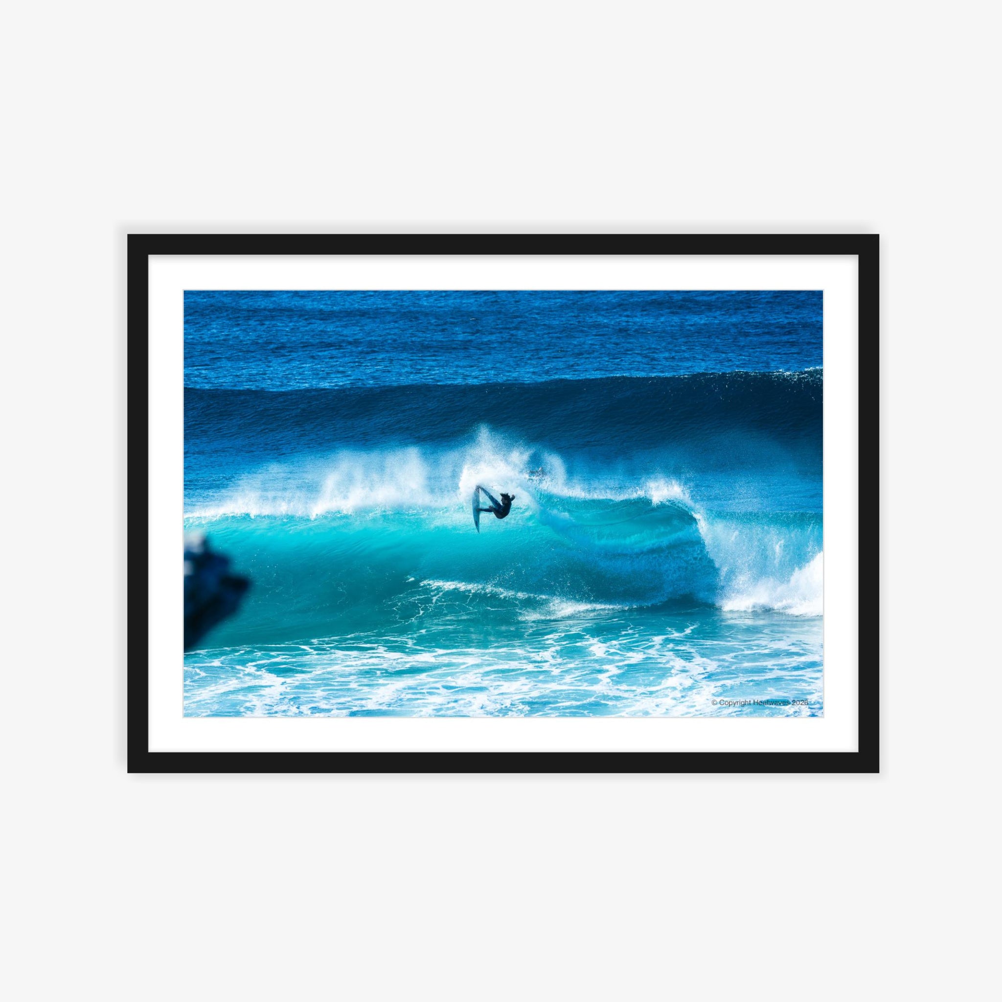 Fins Out Fun