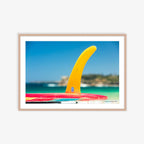 Nice Fin