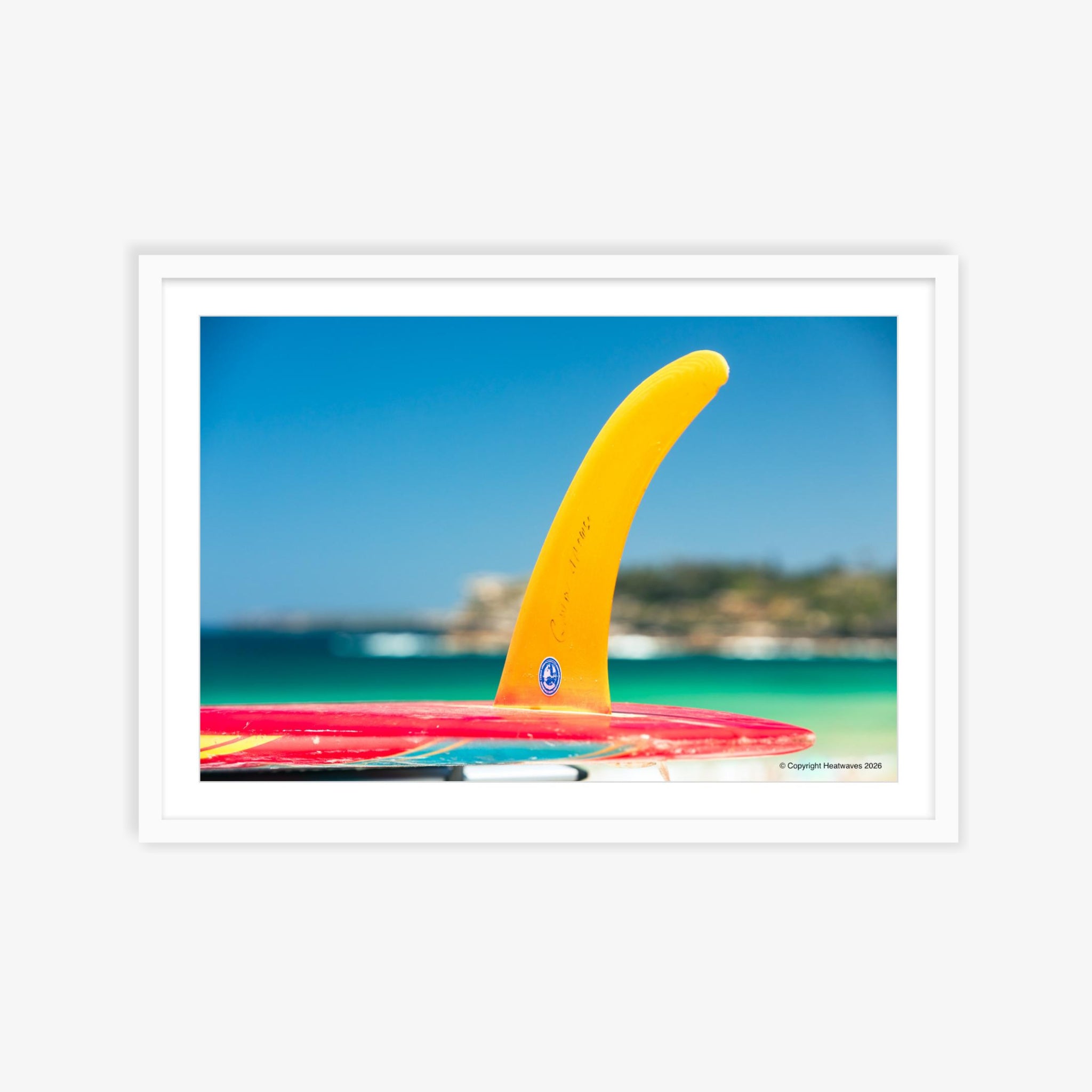 Nice Fin