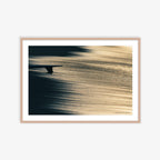 Single Fin