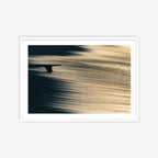 Single Fin