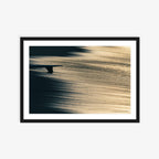 Single Fin